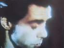 Nick Cave & The Bad Seeds Your Funeral Homestead Records Near Mint 1986