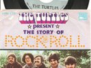 RARE TURTLES 45 & PICTURE SLEEVE - 