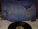 AVE ROCK  ESPACIOS  ARGENTINA PROGRESSIVE NM-