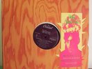 PINK FLOYD SYD BARRETT  US PROMO LP PSYCH BLUES ROCK
