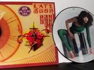 KATE BUSH THE KICK INSIDE PICTURE DISC