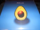 Pearl Jam Avocado Album Sealed Brand New 2 LPs Original Vinyl Release 2006 Rare