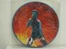 QUEEN -  THE ULTIMATE BACK CATALOGUE - PICTURE DISC - RARE