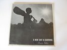 CHARLES GELLER a new day is dawning LP Private Press LONER FOLK mint sealed