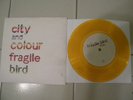 City & Colour - Fragile Bird 7