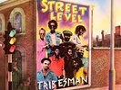 LP:Tribesman,Street Level(RARE)[NM] (Boa Records)