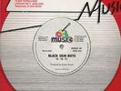 15.16.17. Black Skin Boys ROOTS REGGAE SHAKA DUB 12” ??
