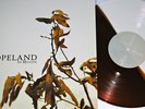 Copeland In Motion LP color vinyl Brown / White OOP /200
