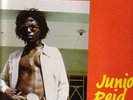 JUNIOR REID/BLACK ROOTS LMLP002/ORIGINAL FOREIGN MIND LP..EX RARE..  LISTEN