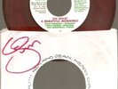 Jan & Dean 45 rpm Oh What A Beautiful Morning Autograph Sleeve Red Vinyl RARE