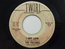Northern Soul 45 THE VOLUMES I Got Love on Twirl WLP