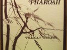 PHAROAH SANDERS ON INDIA NAVIGATION IN 1027 -- RARE -- LISTEN