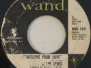 DIANE LEWIS Without Your Love RAW NORTHERN SOUL 45 Wand MP3
