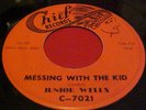 Blues CHIEF 45 