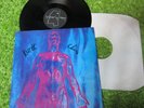 Nirvana super rare kurt cobain and chris SIGNED sliver 12