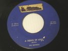 NUTMEGS A DREAM OF LOVE / SOMEONE SOMEWHERE TEL RECORDS DOO WOP 45