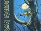 IRON MAIDEN Fear of the dark LP