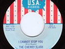 THE CHERRY SLUSH I Cannot Stop You/Don't Walk Away U.S.A. #895 garage