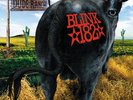 BLINK 182 DUDE RANCH CLEAR BLUE 1/500 SOLD OUT