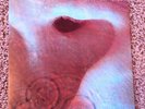 Never Played, Mint 1971 PINK FLOYD Meddle UK SHVL 795 Stereo Mint Every Way