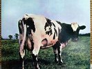 PINK FLOYD  - ATOM HEART MOTHER   - MFSL 1-202 LP - SN: 3262  - NM -