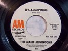 The Magic Mushrooms 