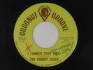 CHERRY SLUSH mod/garage I CANNOT STOP YOU / DON'T WALK AWAY  COCONUT GROOVE VG+
