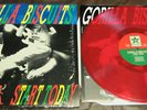 GORILLA BISCUITS - Start Today LP 310/RED nyhc sxe JUDGE WARZONE QUICKSAND BURN