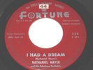 Nathaniel Mayer 45 Detroit Northern Soul on Fortune - I Had A Dream