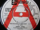 DARRELL BANKS-Open The Door Of Your Heart-Rare Stateside Promo-Hear