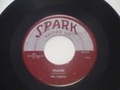 RARE The Robins Framed/Loop De Loop Mambo-Maroon and Silver Spark 107-7