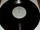 BRUCE SPRINGSTEEN MEGA RARITY UK 12