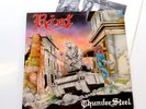 RIOT THUNDER STEEL LP 1988 MARKE REALE CLASSIC METAL TONY MOORE THUNDERSTEEL