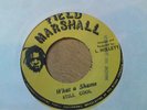 WHAT A SHAME - STILL COOL - ROOTS REGGAE - ??