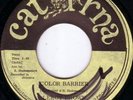 LEROY BROWN/CATURNA Orig JA/COLOR BARRIER - DUB....EX..RARE....LISTEN