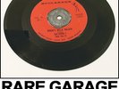 BOB RUNNEL'S FAUX PAS III Willie Walker / My Baby BUCCANEER rare FL garage 45rpm
