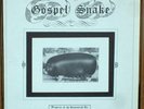 HOMESTEAD ACT: Gospel Snake LP private rural Steve Young mp3