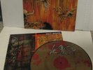 SLAYER - HELL AWAITS -----PICTURE DISC-----VINYL LP