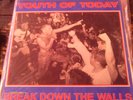 YOUTH OF TODAY Break Down The Walls WISHINGWELL LP 1st Pressing w/LYRIC POSTER