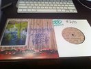 Foundation- Never Stops Raining TEST PRESS backtrack expire dead end path bane 7