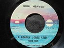 E. RODNEY JONES AND FRIENDS Soul Heaven Twinight Funk Syl 45