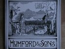 Mumford And Sons – Love Your Ground, RARE 2nd 10