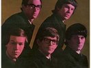 The Zombies, Begin Here LP, Sweet Dandelion 2008 UK Issue **VERY RARE**