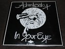 ADAMKOSKY - In Your Eye -  OHIO Folk Private LP Only 100 Made? 1973