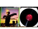 SONIC YOUTH bad moon rising LP BLAST FIRST HOMESTEAD FIRSTPRESS uk NM nirvana