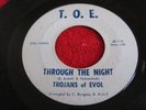 KILLER BACK FROM THE GRAVE FUZZ INSANITY 45 ;TROJANS OF EVOL / T.O.E.