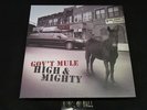 Gov't Mule High & Mighty - 2xLP / Vinyl / Original German press