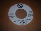 SANDY SALISBURY Rare first 45´67 Our Phonograph records GREAT CURT BOETTCHER