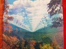 SEALED - TAME IMPALA INNERSPEAKER 45 RPM VINYL 2 LP ORIG MODULAR RADIOHEAD NM