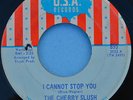 The CHERRY SLUSH 45 I Cannot Stop You 1968 USA  895 Garage pop PSYCH